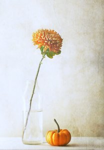 Autumn Mum and Pumpkin by Delphine Devos