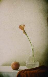 Calla Lily and Apple Still Life by Delphine Devos