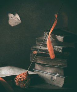 Dark Academia Butterfly by Delphine Devos