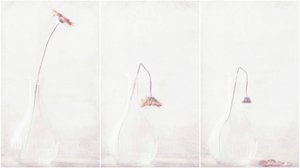 Delicate Fading Flower by Delphine Devos