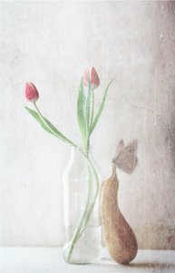 Delicate Tulips Still Life by Delphine Devos