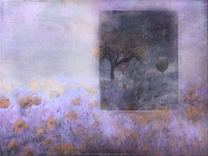 Dreamy Poppy Field Balloons