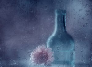 Dreamy Rainy Gerbera
