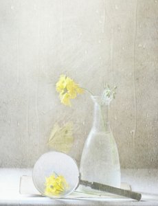 Dreamy Yellow Flowers by Delphine Devos