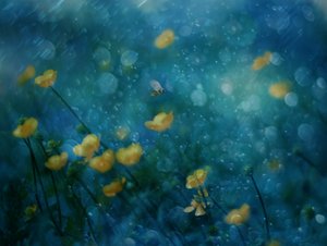 Dreamy Yellow Flowers