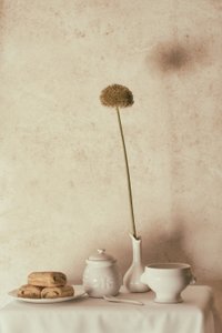 Dried Flower and Pastries by Delphine Devos