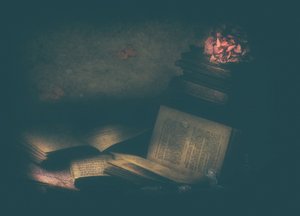 Enchanted Study Books by Delphine Devos