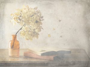 Faded Autumn Still Life by Delphine Devos