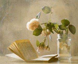 Faded Roses Open Book by Delphine Devos