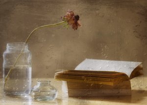 Melancholy Bloom and Book