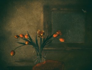 Moody Orange Tulips by Delphine Devos