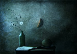 Moonlit Still Life by Delphine Devos