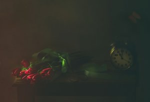 Red Tulips and Time