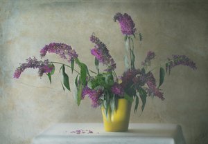 Rustic Floral Still Life by Delphine Devos