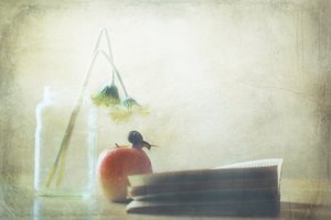Snail Apple Quiet Moment by Delphine Devos