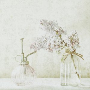 Soft Lilac Still Life by Delphine Devos