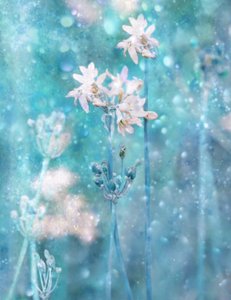 Sparkling Blue Flowers by Delphine Devos