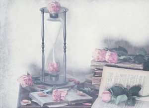 Timeless Roses and Books by Delphine Devos