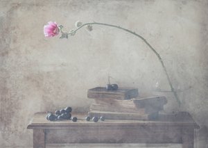 Vintage Books and Bloom by Delphine Devos