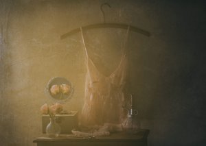 Vintage Boudoir Lingerie by Delphine Devos