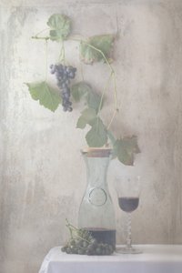 Vintage Grapes Wine Still Life by Delphine Devos