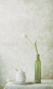 White Tulip Still Life by Delphine Devos