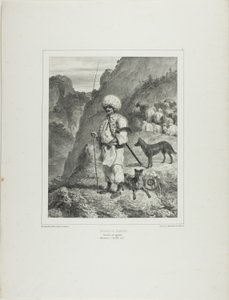 Bannat Shepherd, Left Bank of the Danube by Denis Auguste Marie Raffet