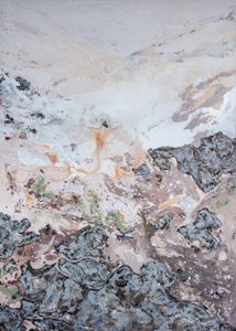 Organic Earth Textures
