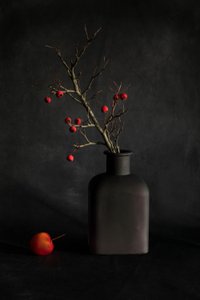 Crimson Berries Still Life