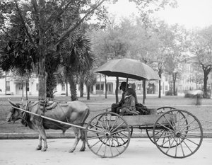 Bovinmobile in Savannah, Georgia