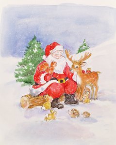 Santa and Friends