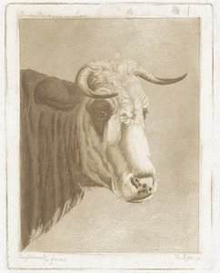 Koekop by Diederik Jan Singendonck