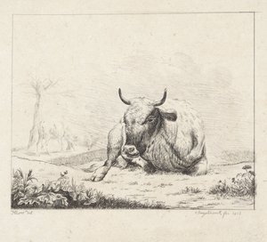 Lying Cow by Diederik Jan Singendonck