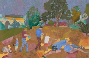 Yellow Rattle Harvest