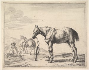 Horse Bound to a Post, Turned Left by Dirck Stoop