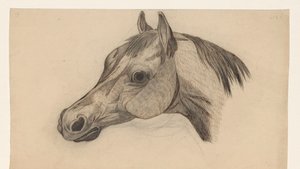 Head of a Horse, Facing Left