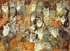 Cat-Spread