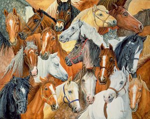 Dees Horse-Blanket by Ditz