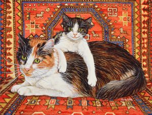 Kit-Cat-Carpet