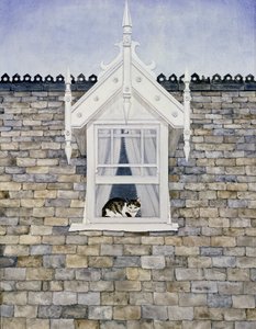 St.Helier Dormer Cat