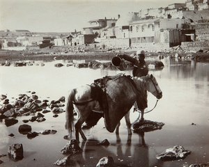 A Watering Place by Dmitri Ivanovich Yermakov