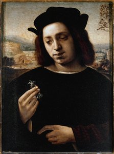Portrait of Man, known as the Gold by Domenico Ghirlandaio