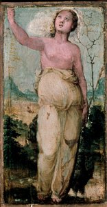 Female Figure by Domenico Beccafumi