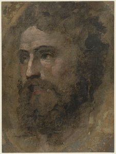 Head of a Man with Curly Hair, Facing Left