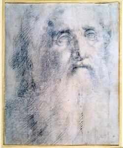 Study of an old Man