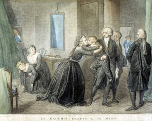 The Louis dolphin kidnapped from his mother Marie Antoinette (in their Temple prison), July 1