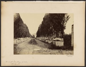 Ancient Cemetery of Arles, Alyscamps by Dominique Roman