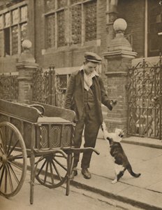 One of the Best-Established Trades: A Customer and the Cats-Meat Man by Donald McLeish
