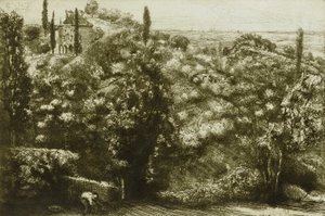 Evening Shadows by Donald Shaw MacLaughlan