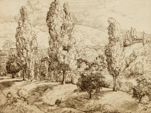 Fields of Asolo by Donald Shaw MacLaughlan